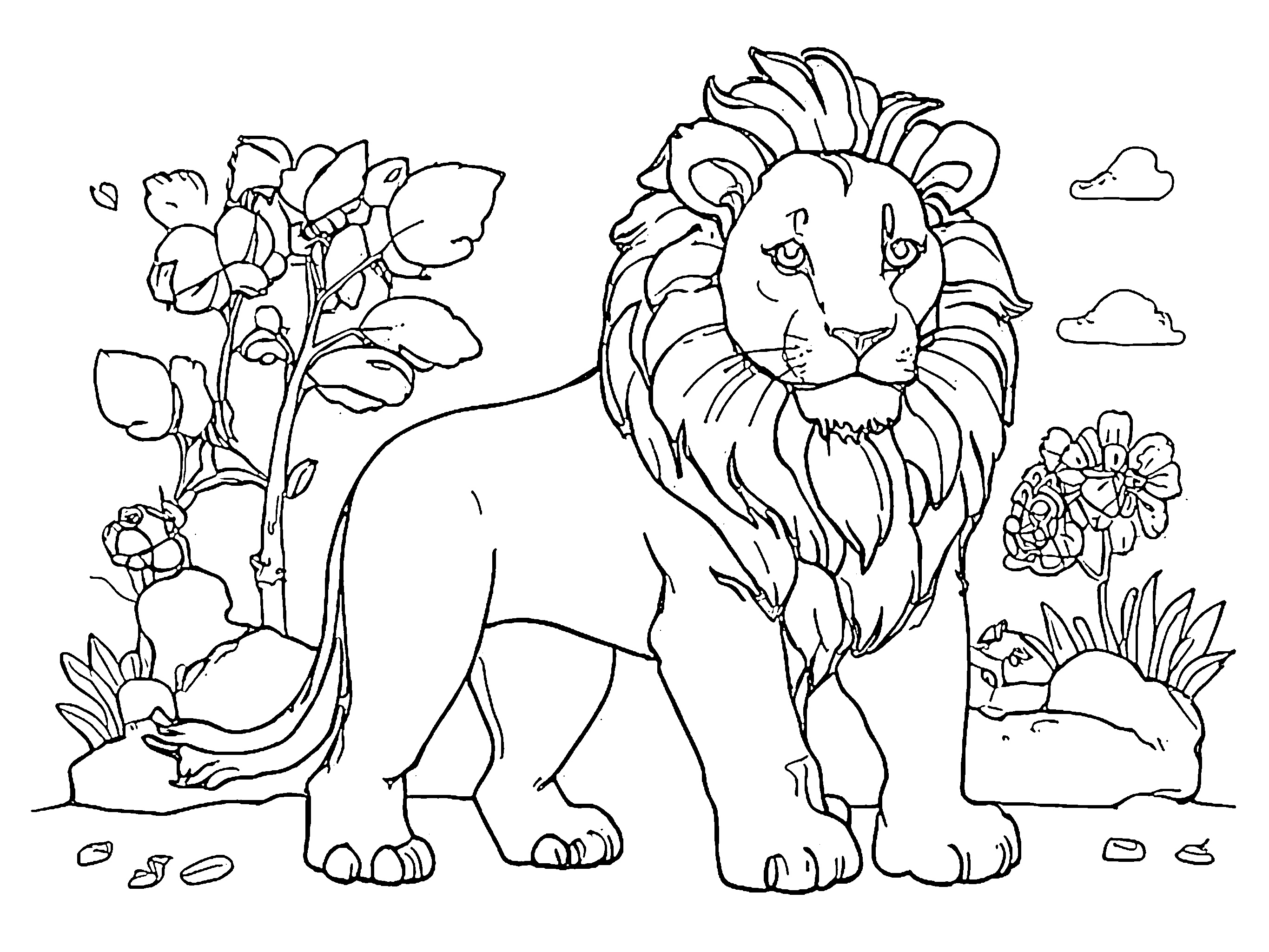 gambar singa Lion 1